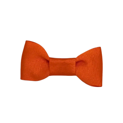 Barrette orange